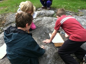 Fossils in the rock