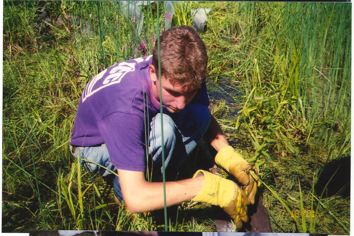 Wetland Exploration