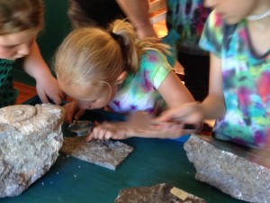 Exploring 460 Million Year Old Fossils